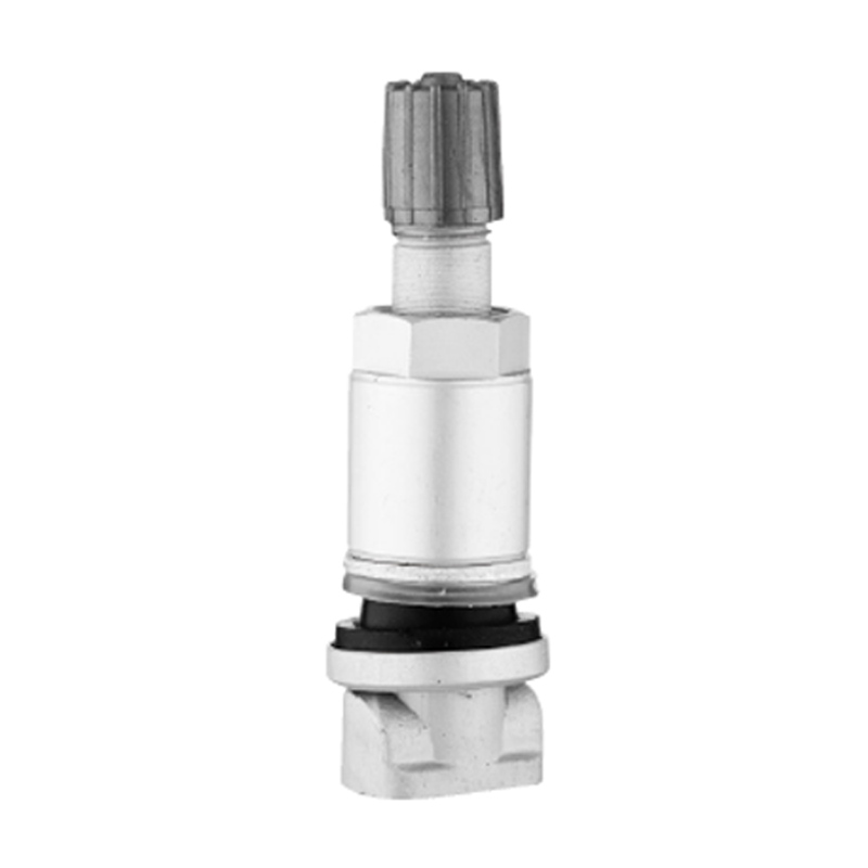 TPMS Vanaları-TPMS-01