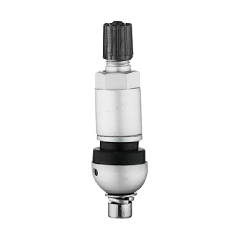 TPMS Vanaları-TPMS-02