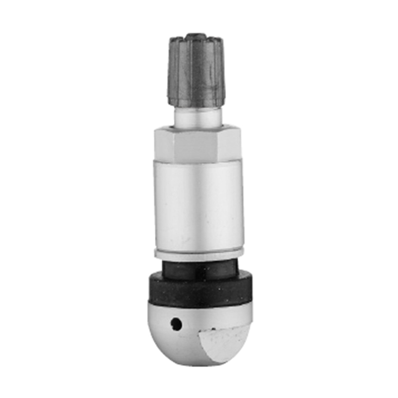 TPMS Vanaları-TPMS-05