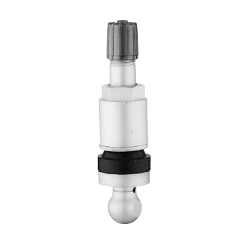 TPMS Vanaları-TPMS-07