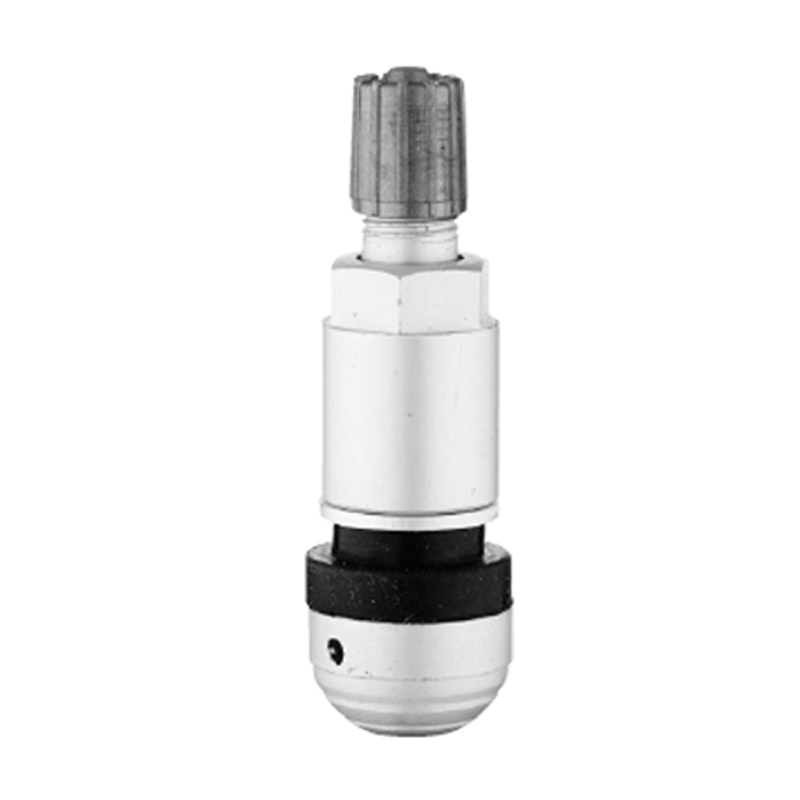 TPMS Vanaları-TPMS-09