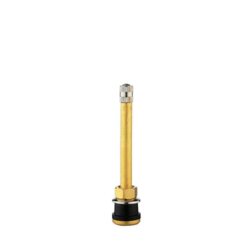 Kamyon ve Otobüs-TR571 için Tubeless Metal Kelepçeli Valfler